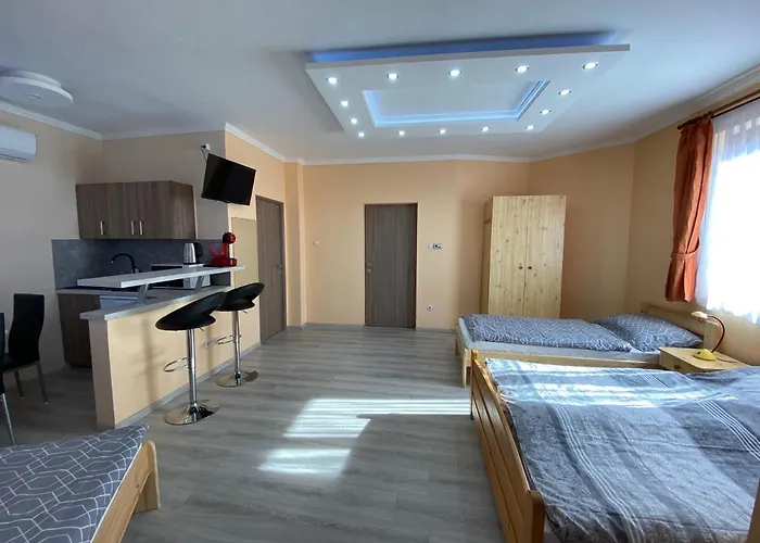 Millennium Lux Apartment *