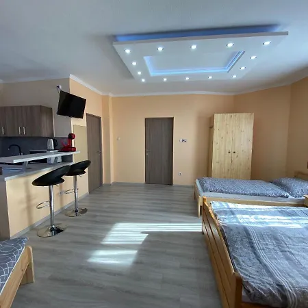 Millennium Lux Apartment *